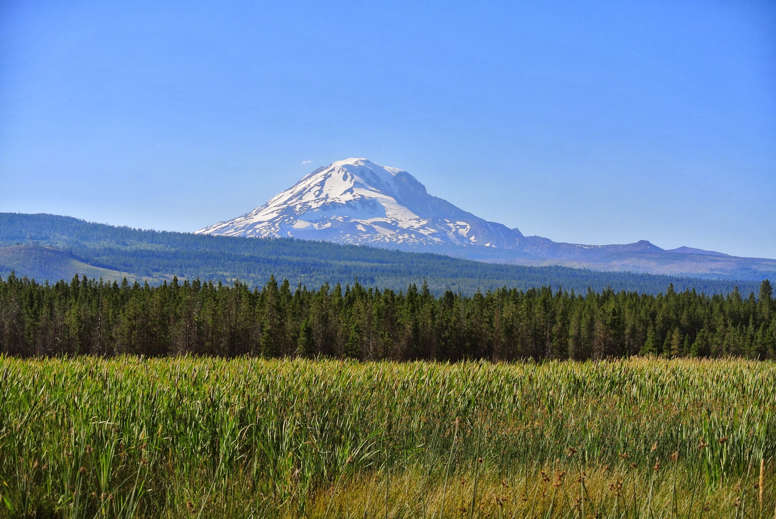 Tidwell and Hayes  09 View from research site